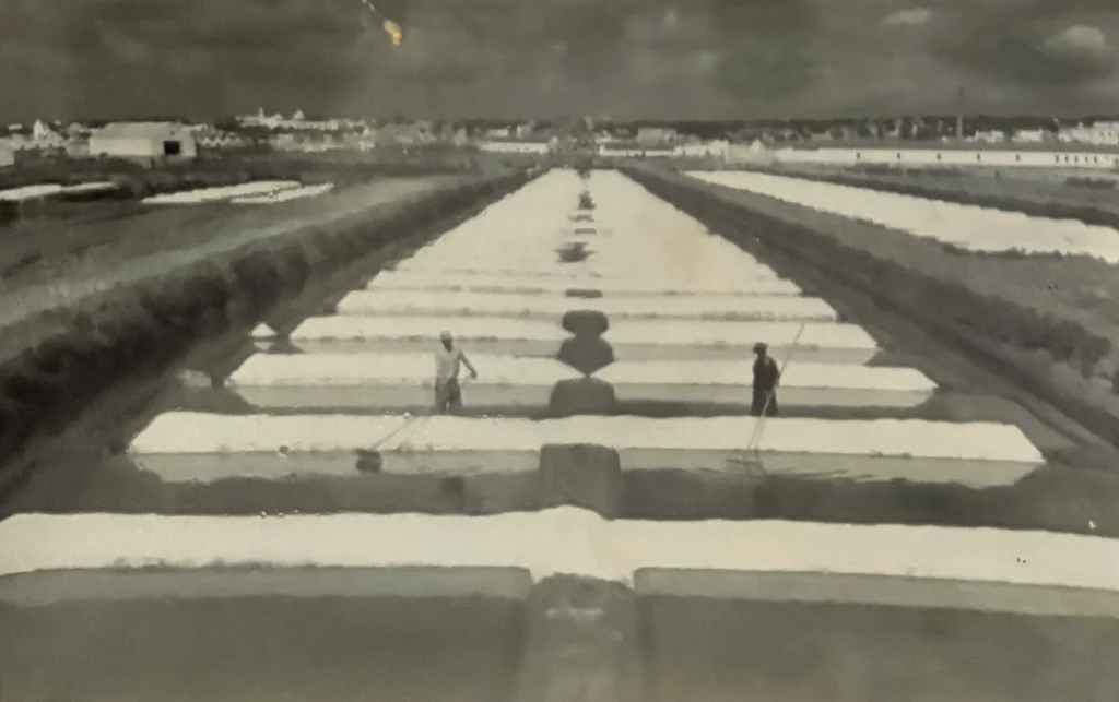 Salines de Tavira au Portugal, deux personnes récoltent le sel sous un ciel nuageux, ambiance vintage.