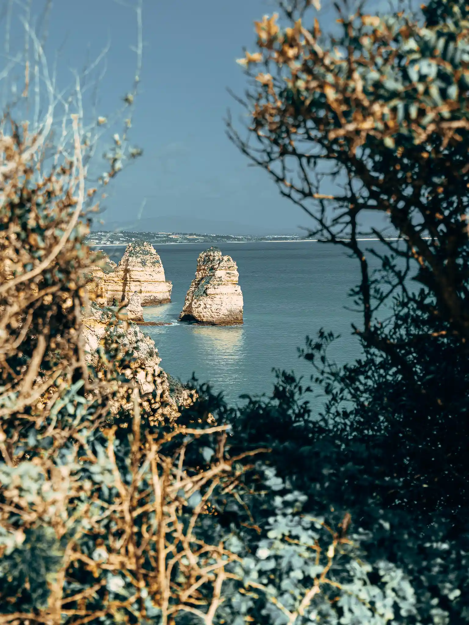 Rocky cliffs of Ponte da Piedade in Lagos, Portugal, seen through the vegetation under a blue sky.