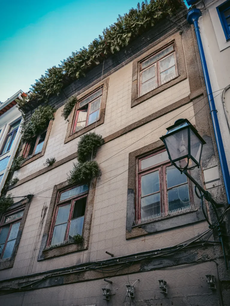 Old facade in Aveiro with wooden windows and climbing plants, picturesque and historic atmosphere.