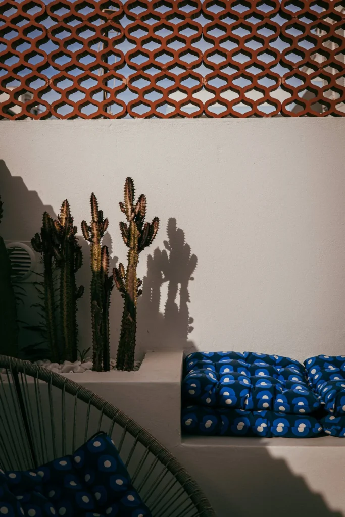 Sunny outdoor corner with blue patterned cushions and cacti, in front of a white wall and a terracotta screen, in Fuseta, Algarve.