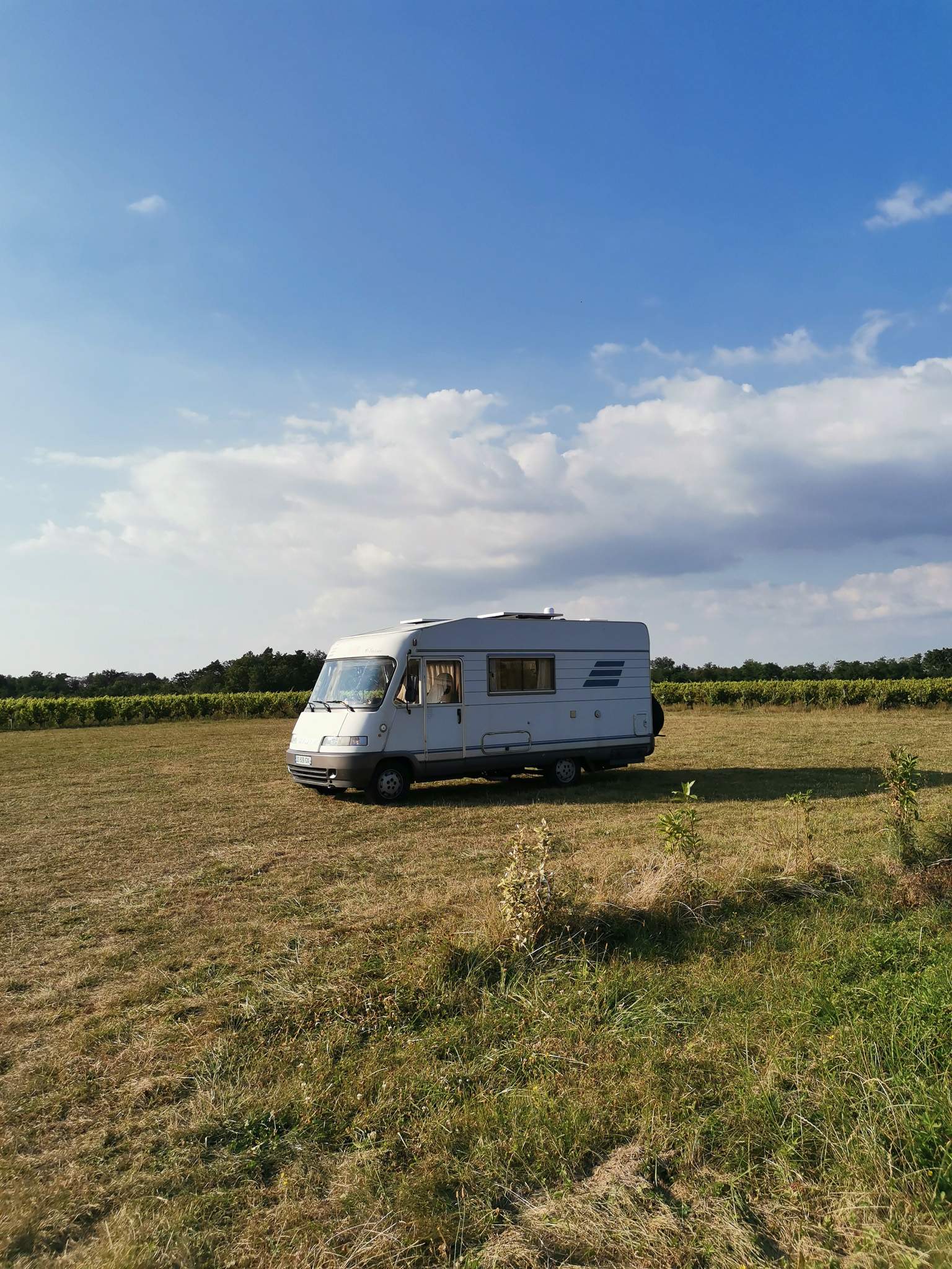 Camper van Edouard is parked in the heart of a meadow under a summer sky, illustrating the freedom of vanlife in nature.