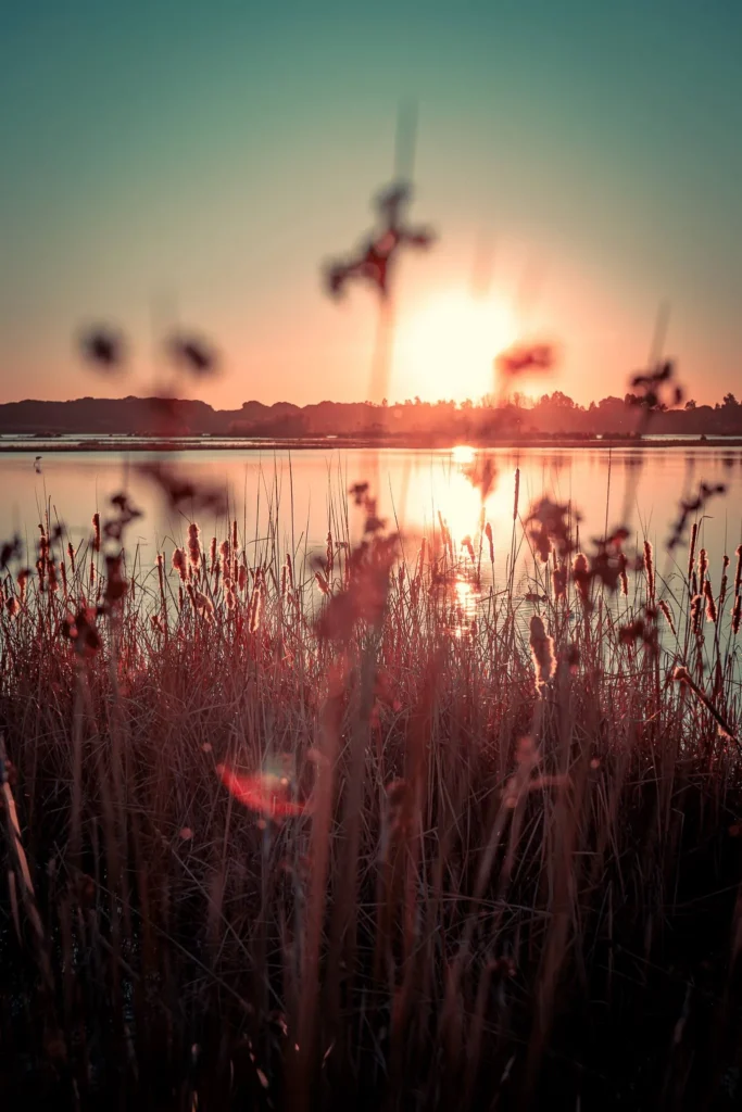 Reeds in the foreground in front of a pond at sunset in a natural and peaceful setting in Andalusia, Spain, in December.