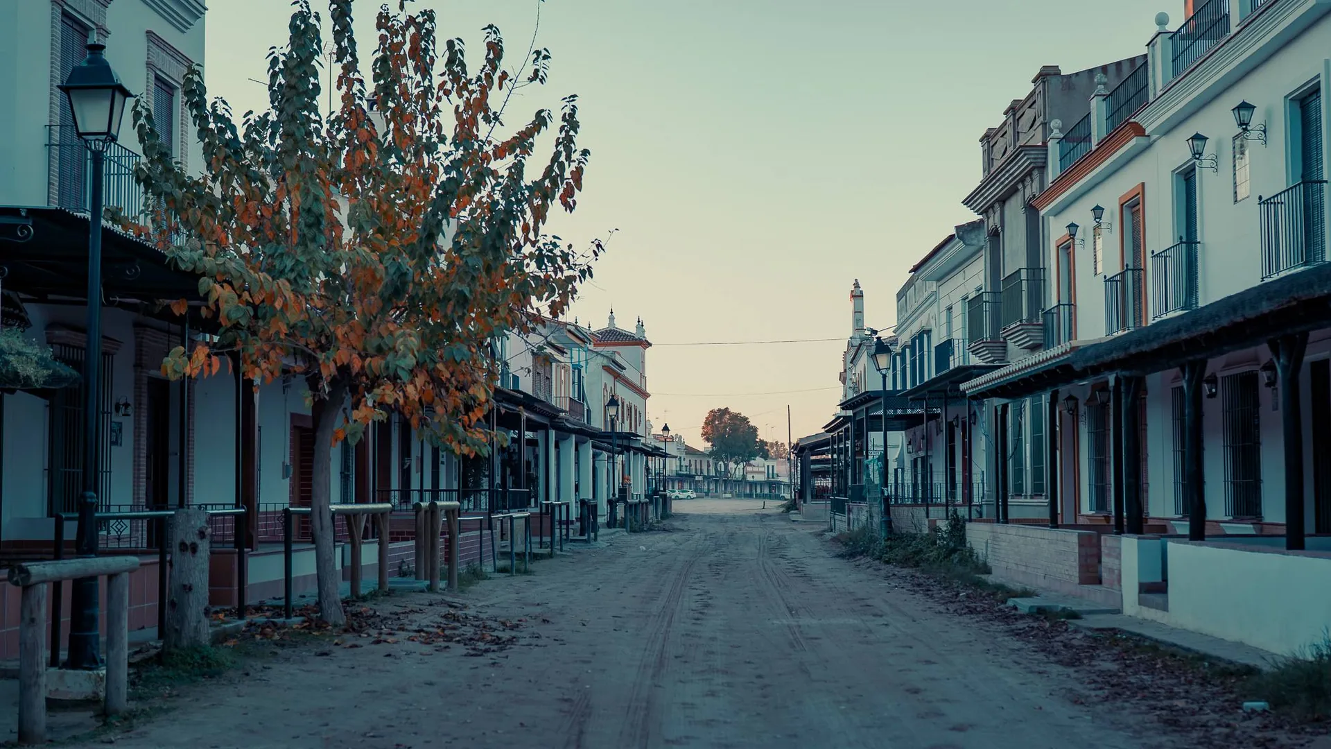 Deserted street lined with traditional houses in El Rocio, Andalusia, with a tree adorned with autumn leaves and a peaceful atmosphere at the end of the day.