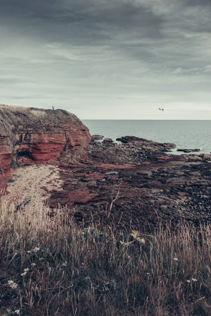 Red sandstone cliffs on the Scottish coast near Arbroath