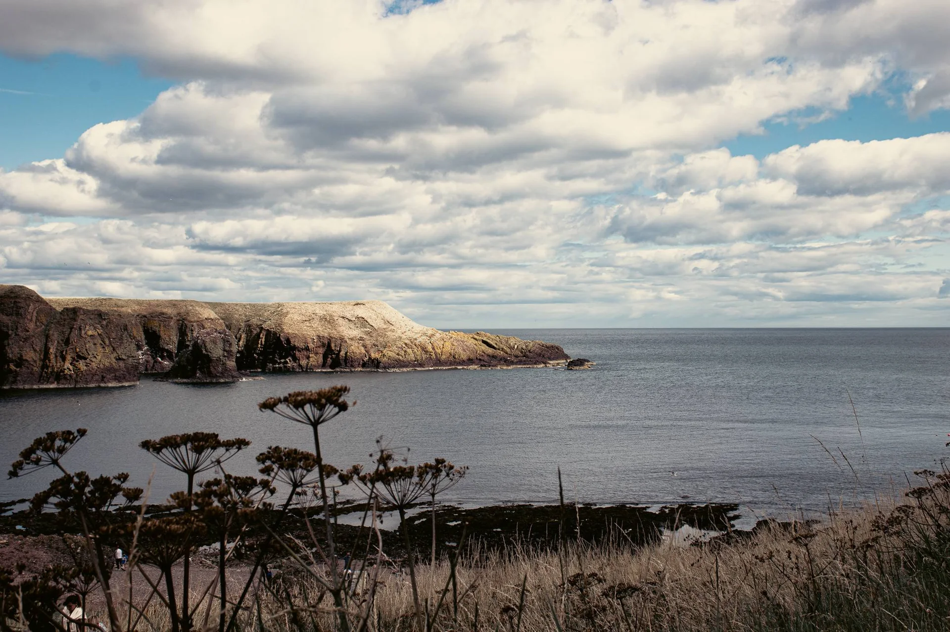 Steep cliffs overlooking the North Sea near Dunnottar Castle in Scotland