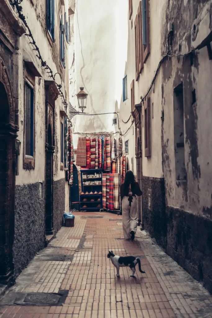 Lively alley in Marrakech with colorful carpets and a stray cat, Caroline exploring local craftsmanship.