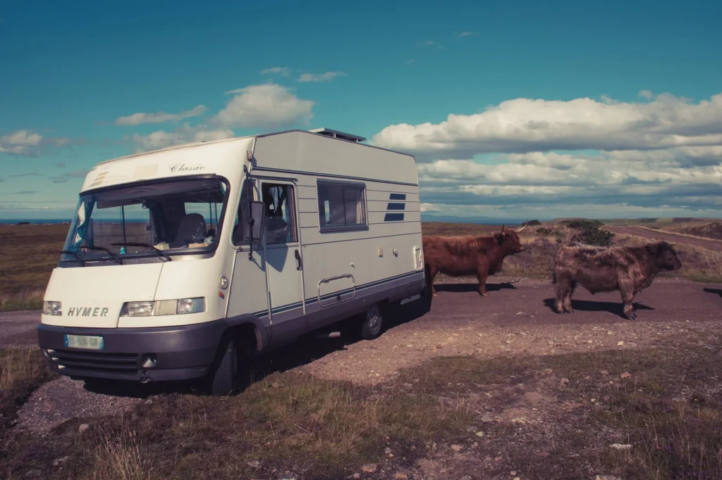 Campervan road countryside Scotland North cattle Highlands
