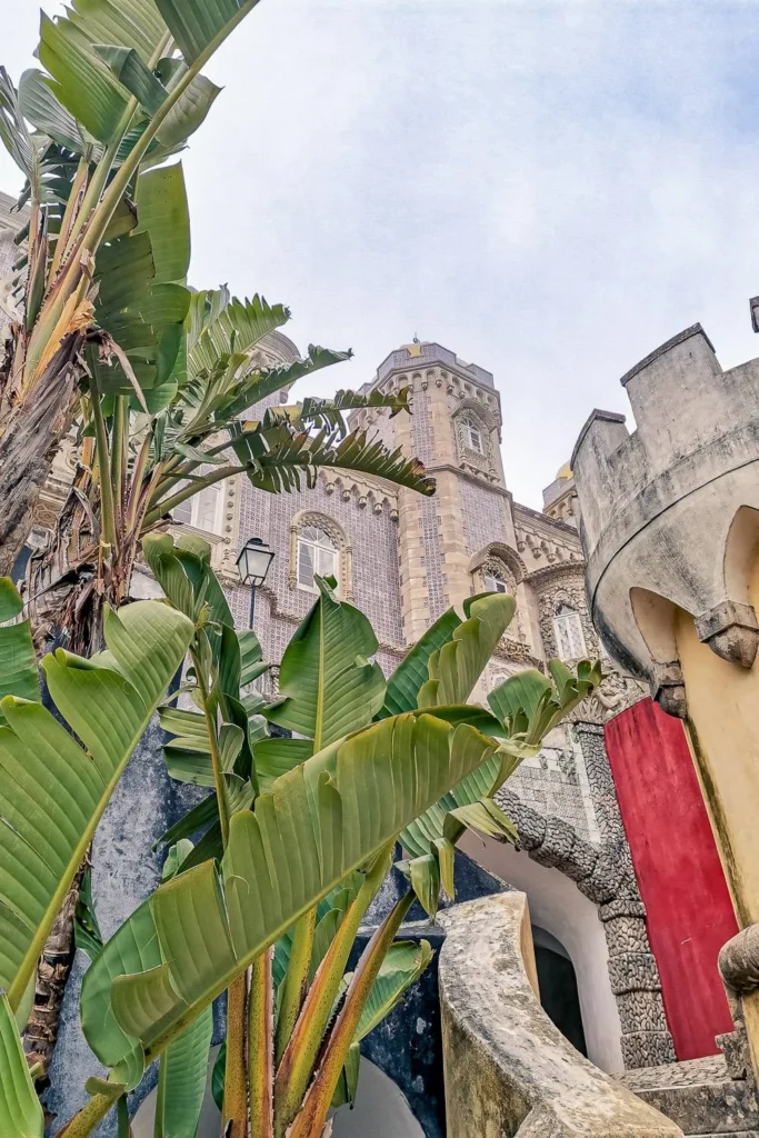 Colorful facade of the National Palace of Pena in Portugal, viewed from an inner courtyard with large tropical plants in the foreground, in winter.