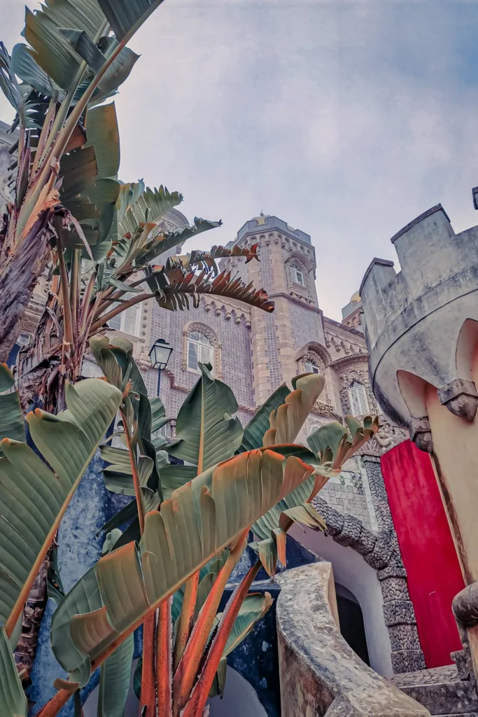 Facade of the National Palace of Pena in Portugal, viewed from an inner courtyard with large exotic plants and colorful walls, in winter.