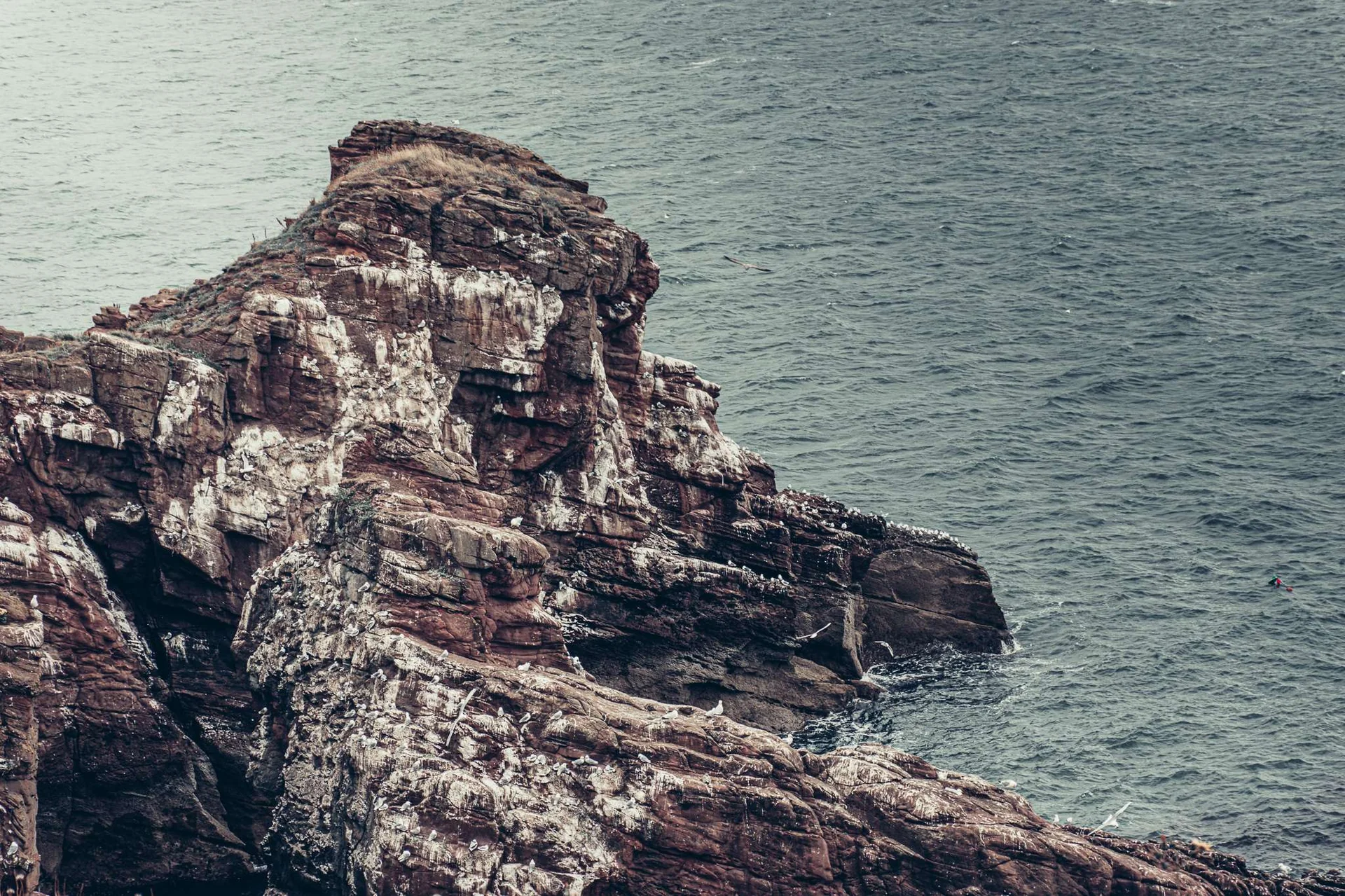 View of the cliffs and vegetation of the east Scottish coast near Arbroath