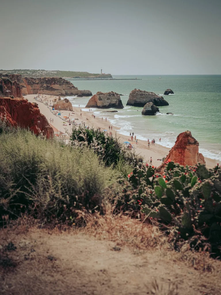 Algarve beach in Portimao with ochre cliffs, rocks in the Atlantic Ocean, and Mediterranean vegetation in the foreground, in May 2026.