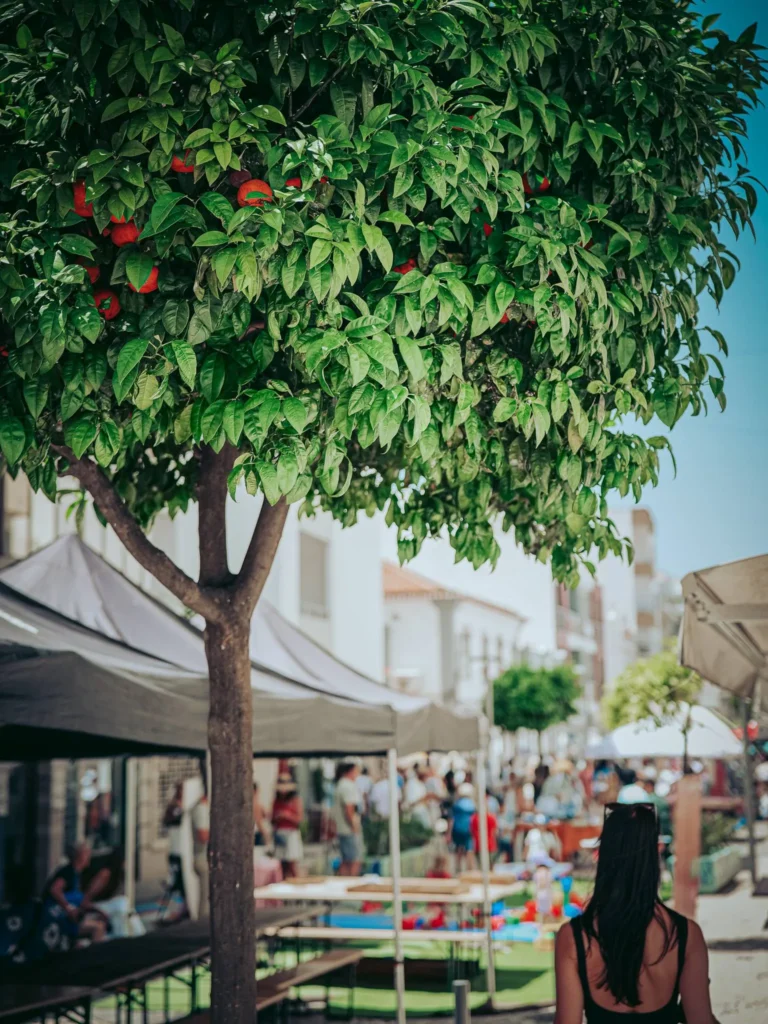 Lively street scene in Portimao under a fruit tree, with stalls and a woman seen from behind in the foreground. Summer atmosphere in a city in the Algarve, Portugal.