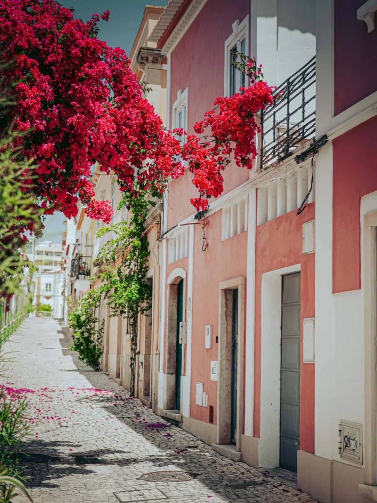Cobblestone alley lined with colorful houses with pink and white facades, adorned with blooming bougainvilleas under the sun in Portimão, Algarve, Portugal in May.