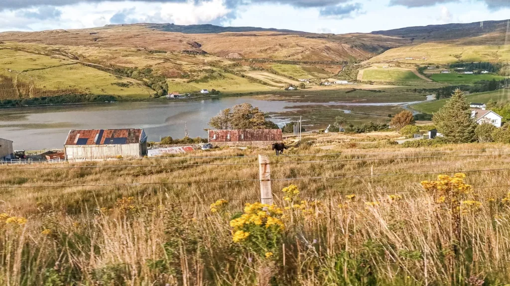 Rural landscape grazing loch around Portree Isle of Skye