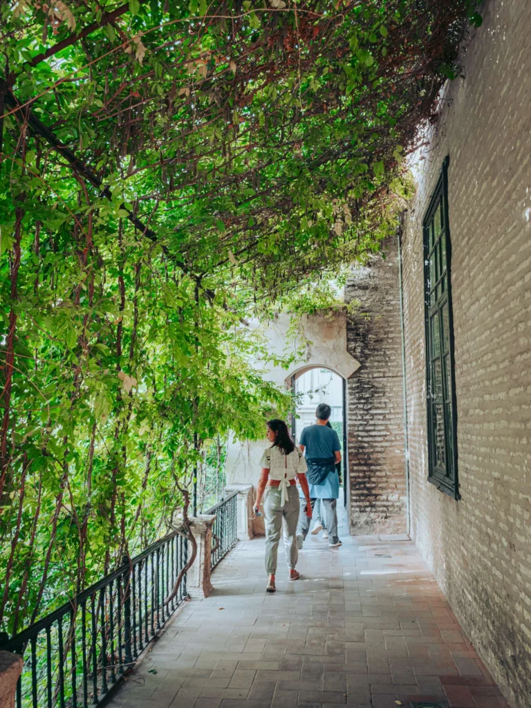 Caroline et Xavier marchent dans une galerie ombragée par une pergola végétalisée, le long d'un mur en briques du palais Alcazar à Séville en Andalousie.