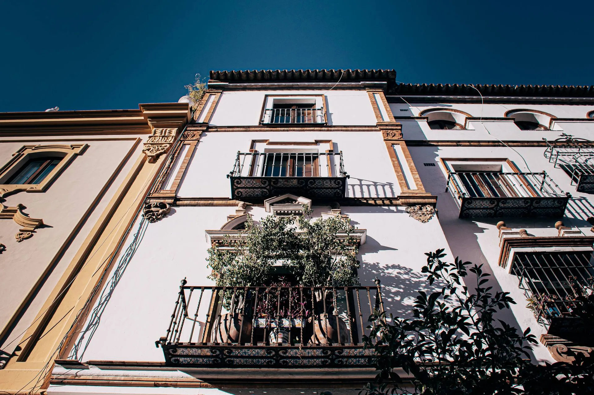 Façade d'un immeuble traditionnel andalou à Séville, avec balcons en fer forgé et plantes en pot sous un ciel bleu.