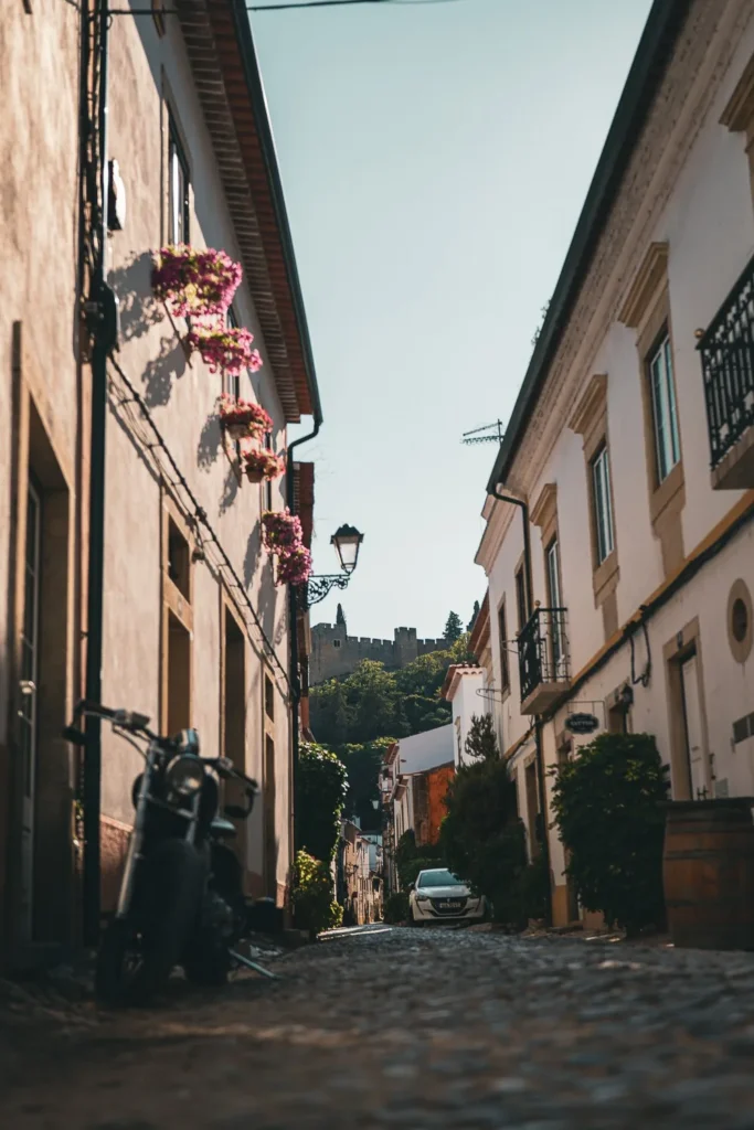 Ruelle pavée du centre historique de Tomar, bordée de maisons traditionnelles avec des fleurs en façade et vue sur un château en arrière-plan, par une journée d'été.