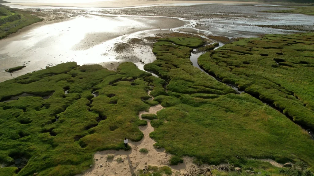Coastal landscape Tongue region Scotland sandbanks meadows