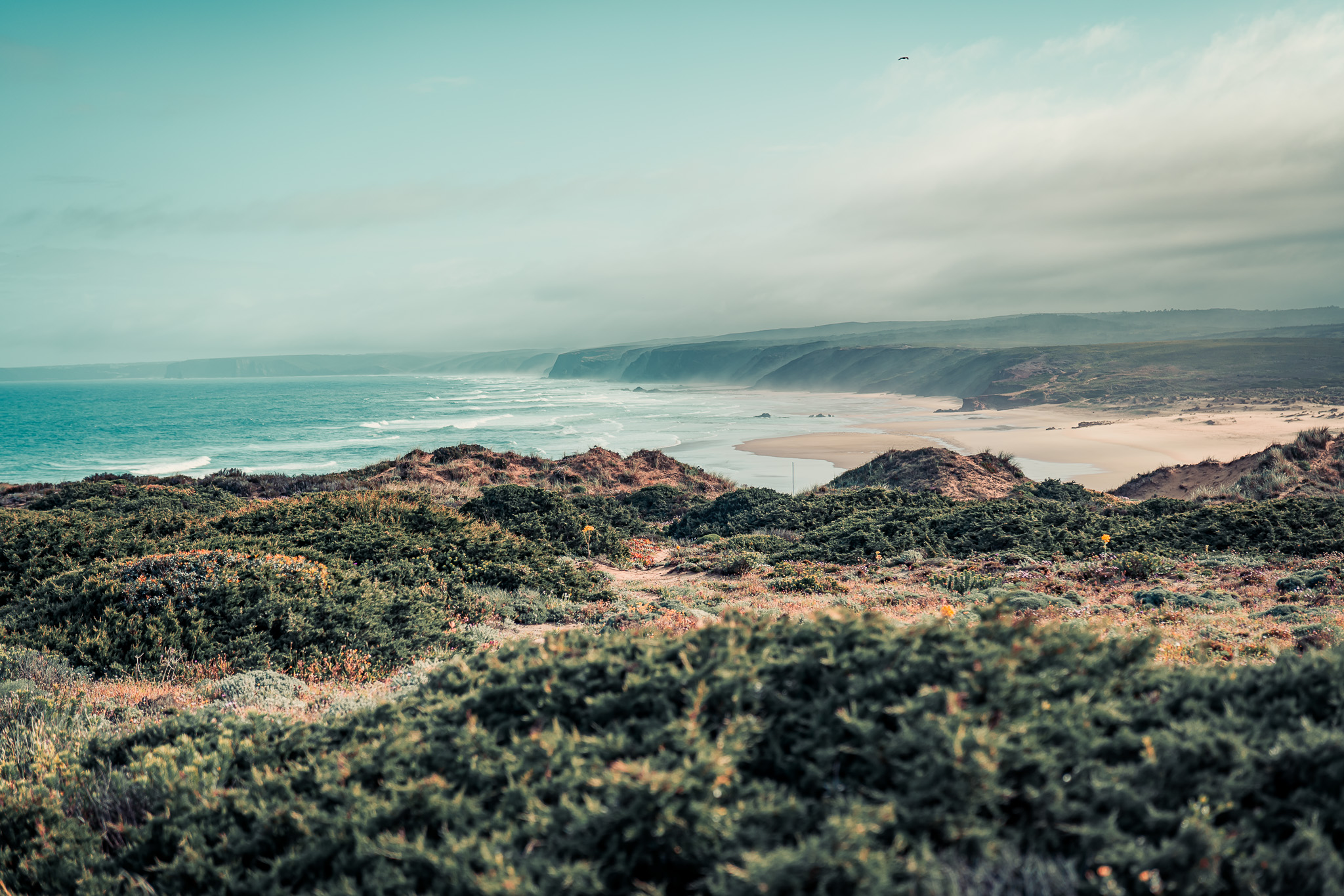 Bordeira Beach in Portugal with lush dunes and the ocean in the background under a slightly cloudy sky.