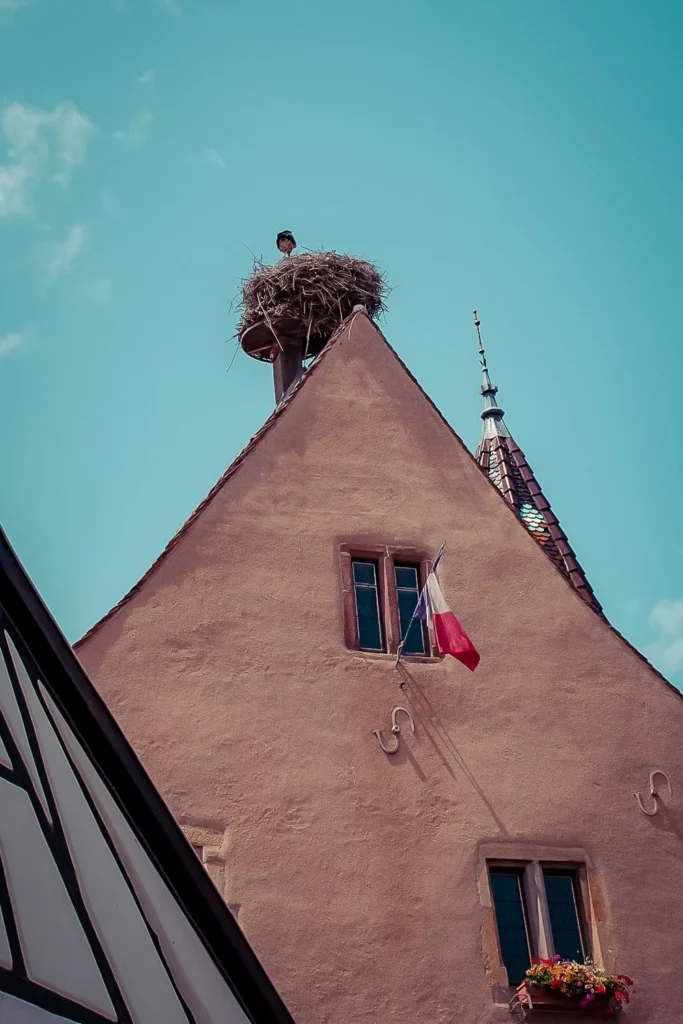 Facade of an Alsatian house in Eguisheim with a stork nest on the roof