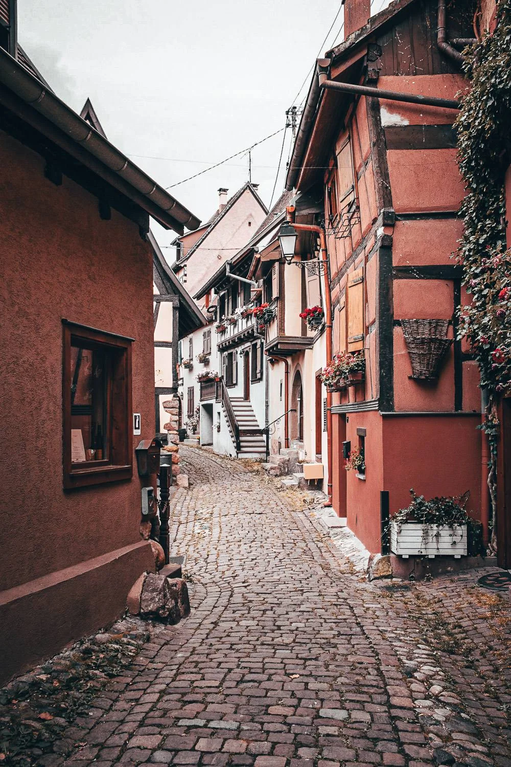Cobblestone alley lined with traditional half-timbered houses in Eguisheim, atmosphere of the Most Beautiful Villages of France