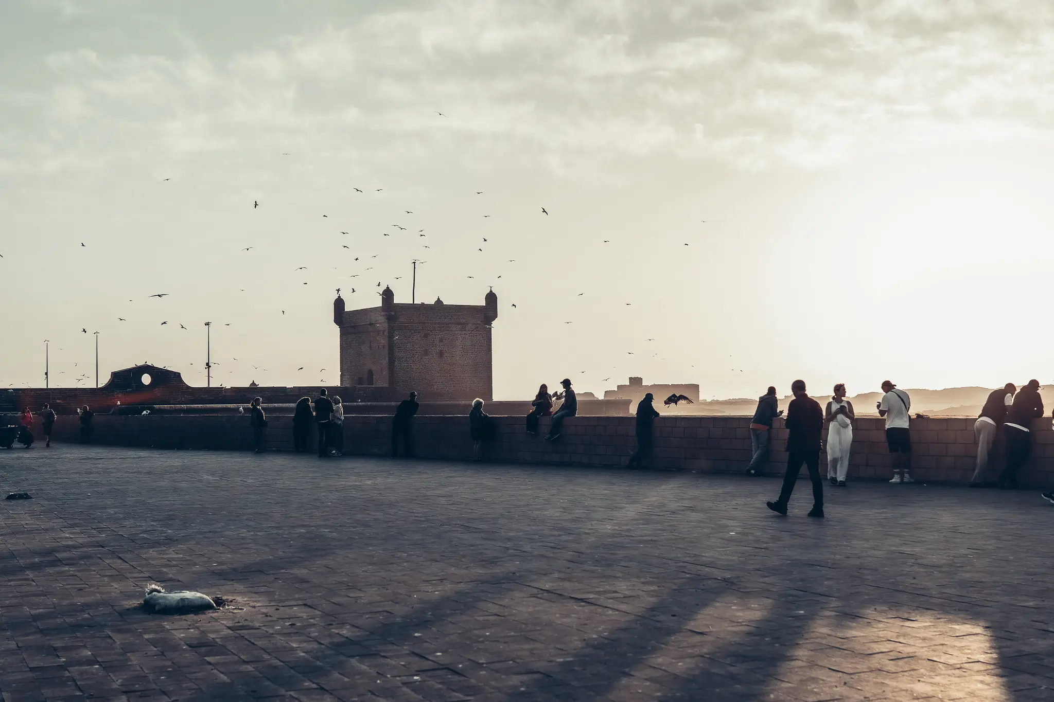 Essaouira ramparts at sunset, serene atmosphere with silhouettes of visitors and flying birds.