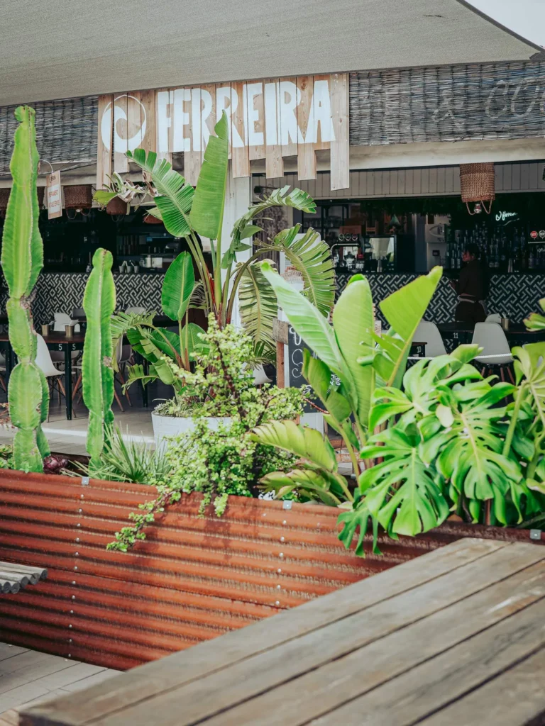 Vegetated terrace of the O Ferreira restaurant on the island of Tavira in the Algarve, featuring large tropical plants and a summery atmosphere.