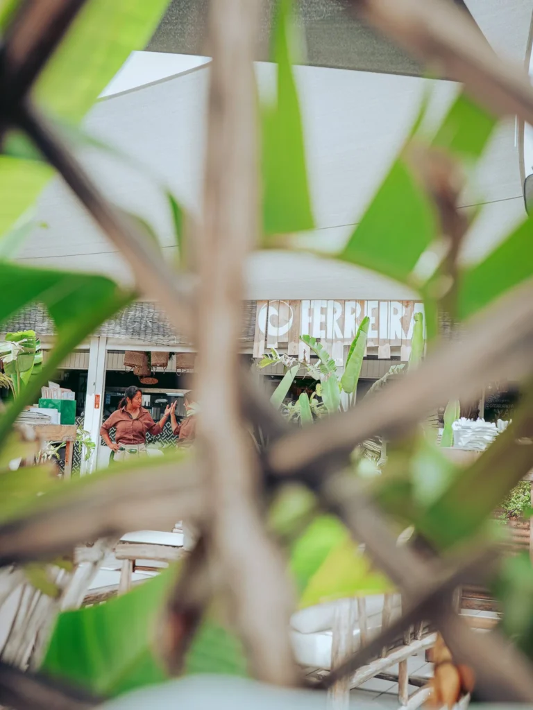 Partial view of the green terrace of the O Ferreira restaurant on Tavira Island, with foliage in the foreground and the entrance of the place in the background.