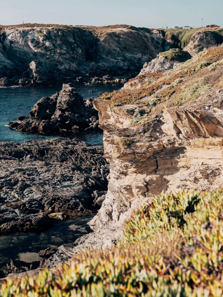 Rocky cliffs and coastal vegetation overlooking the Atlantic Ocean in Porto Covo, in Alentejo, under summer light.