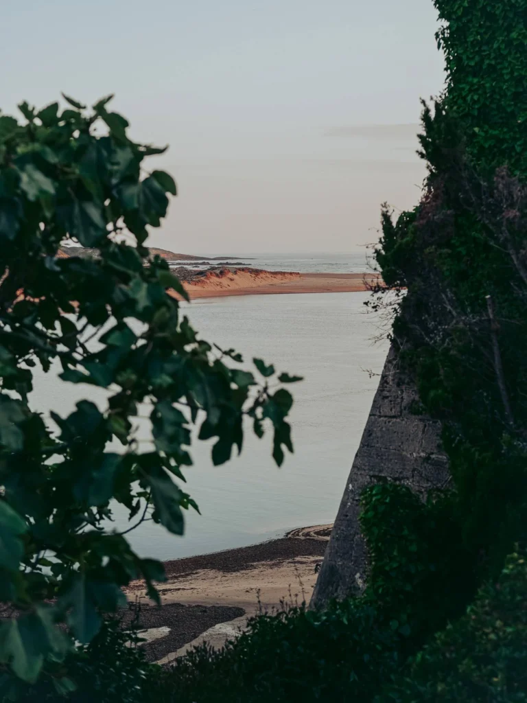 View of a beach and the mouth of a river in Vila Nova de Milfontes, with foliage and a stone wall in the foreground. The atmosphere is calm at the end of the day.