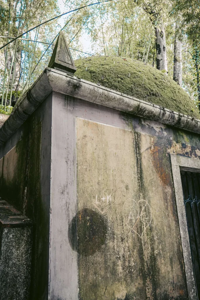 Small old building covered in moss, surrounded by bamboo at the Botanical Garden of Coimbra, with heart-shaped graffiti on the wall. Humid atmosphere and dense vegetation.
