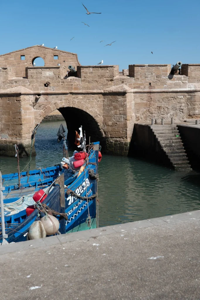 Blue fishing boat moored in front of the ramparts and fortified gate of Essaouira's port under a blue sky, with seagulls in flight.