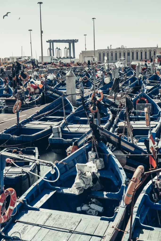 Traditional blue fishing boats moored in the port of Essaouira, under a clear sky with buildings in the background.