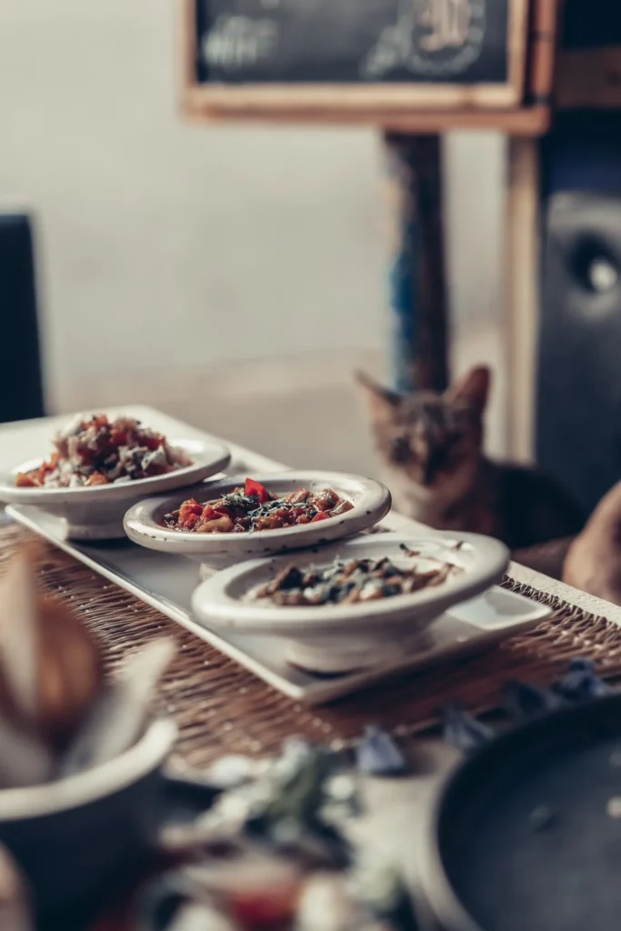 An assortment of Moroccan dishes served in ceramic bowls on a table, with a cat in the background at a restaurant in Essaouira in October.