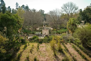 Il giardino botanico di Coimbra, o come dice Xavier, il “non riesco a ricordare il nome