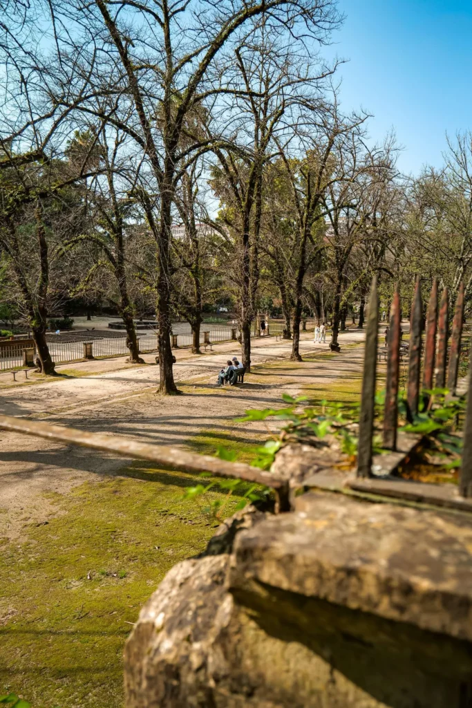 Botanical Garden Alley of Coimbra with leafless trees and a few benches, under a clear sky in early spring.