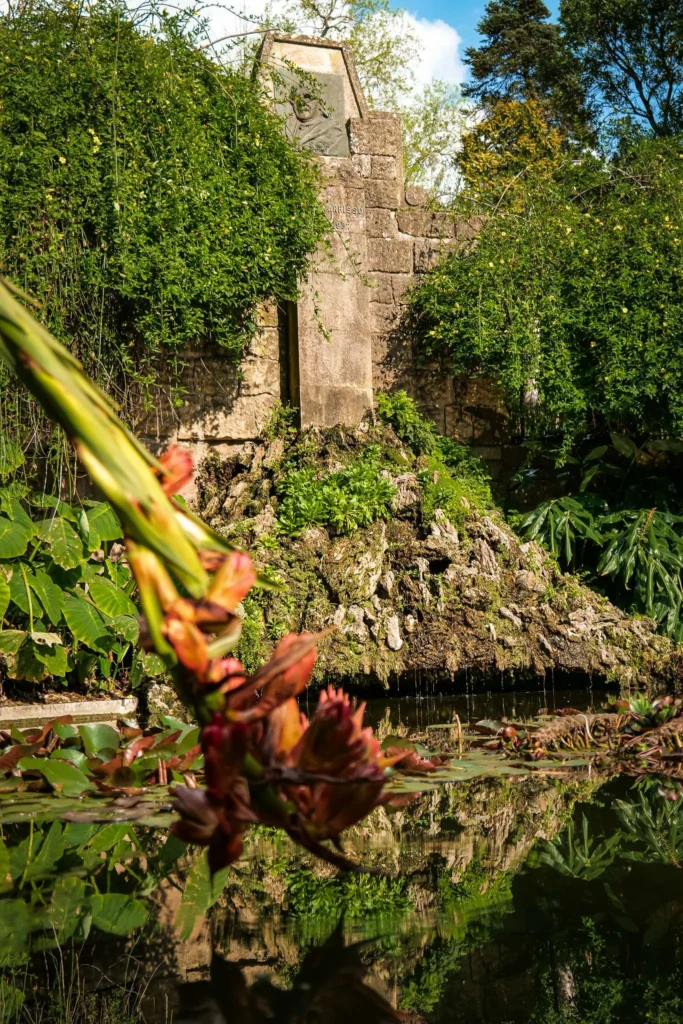 A basin surrounded by lush vegetation with an ancient wall covered in plants at the Botanical Garden of Coimbra, photographed in spring.