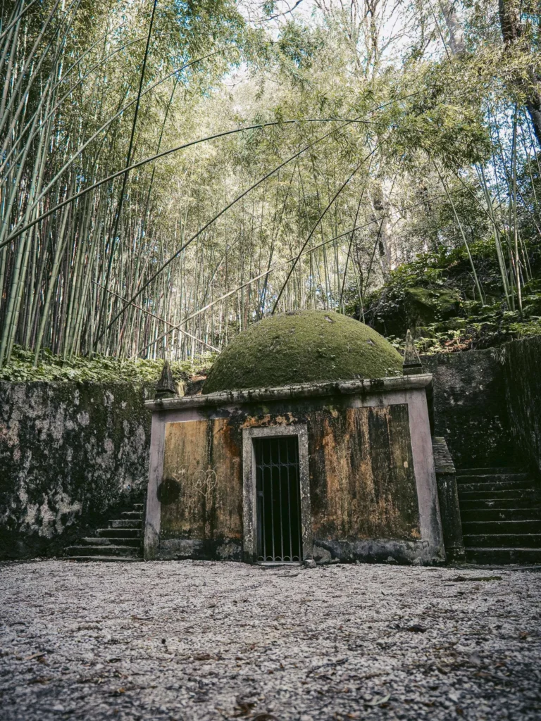 Small old building with a moss-covered dome, surrounded by bamboo and dense vegetation in the Botanical Garden of Coimbra.