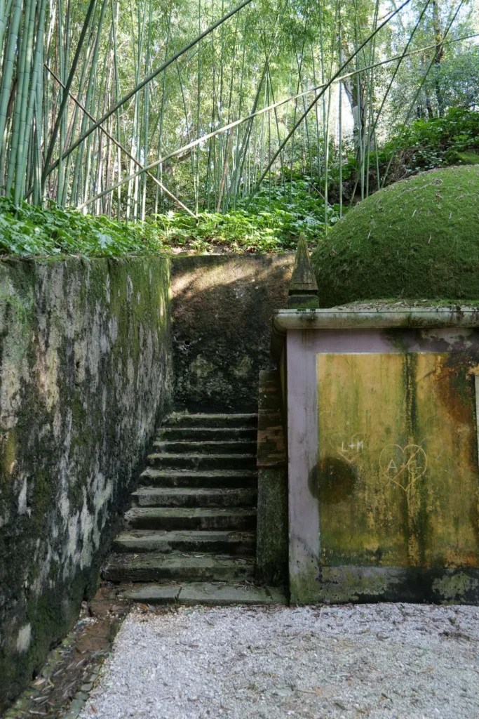 Ancient stone staircase leading to a bamboo pathway in the Botanical Garden of Coimbra, calm atmosphere and dense vegetation in spring.