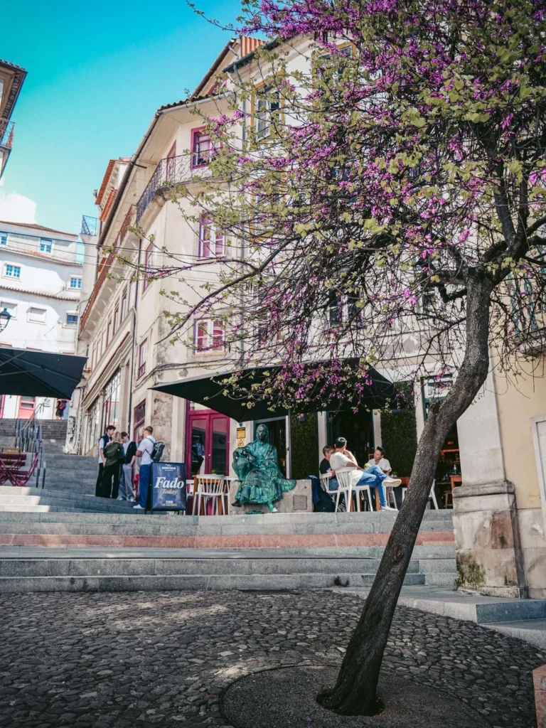 Small square in Coimbra with a flowering tree, cobbled stairs, and a lively café terrace, a seated statue visible near the entrance.
