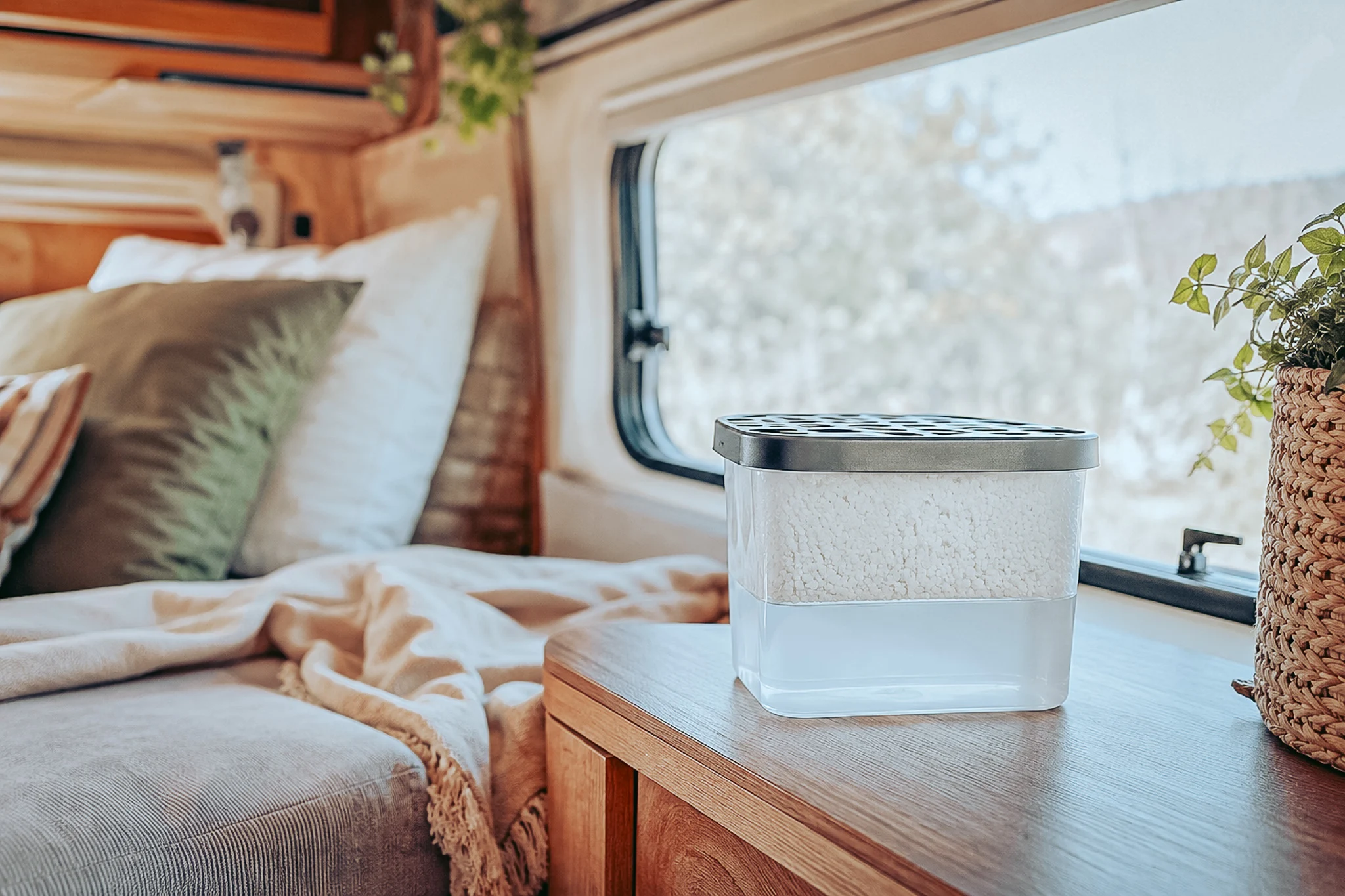 Moisture absorber in the dry and healthy interior of a converted van