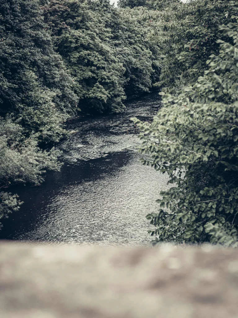 A watercourse bordered by dense vegetation in a park in Glasgow, under a changing sky.