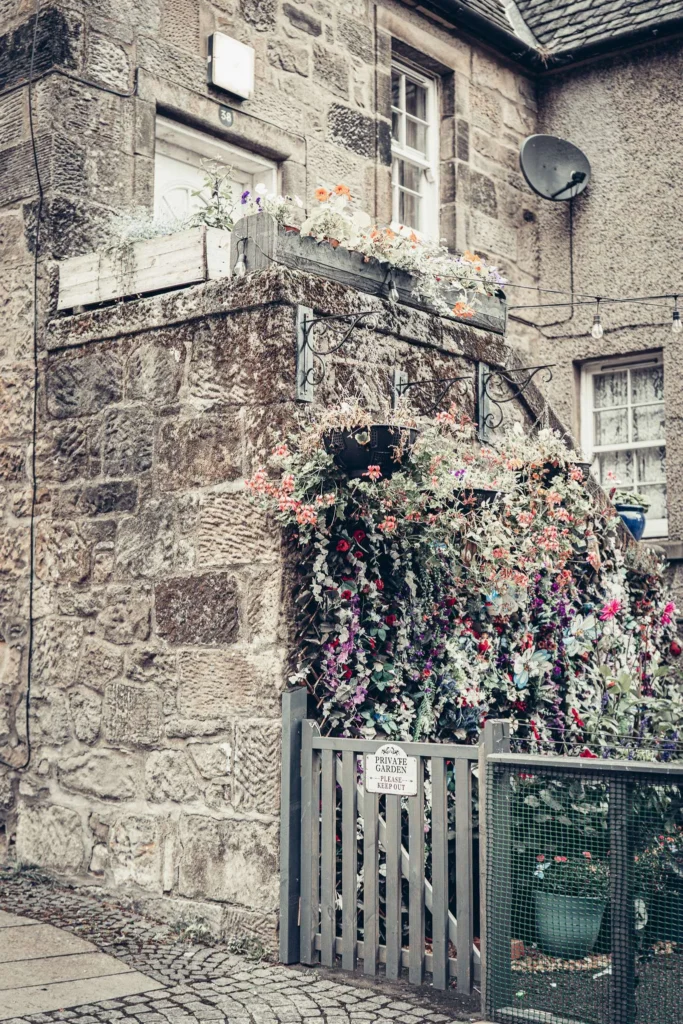 Entrance of an old stone house in Stirling, small flower garden and moss-covered walls.