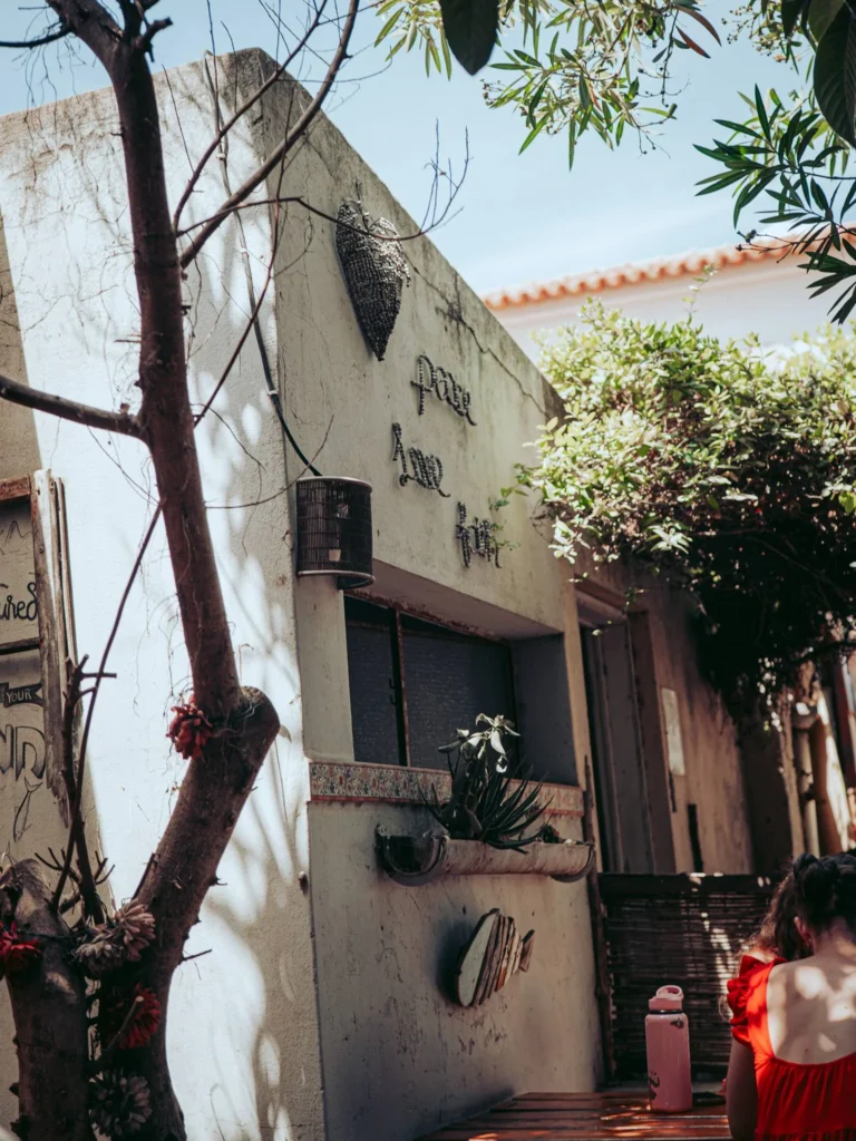 Decorated wall and plants in the garden of The Garden Bar and Grill in Lagos, under the Mediterranean light, with a customer seated under the trees.