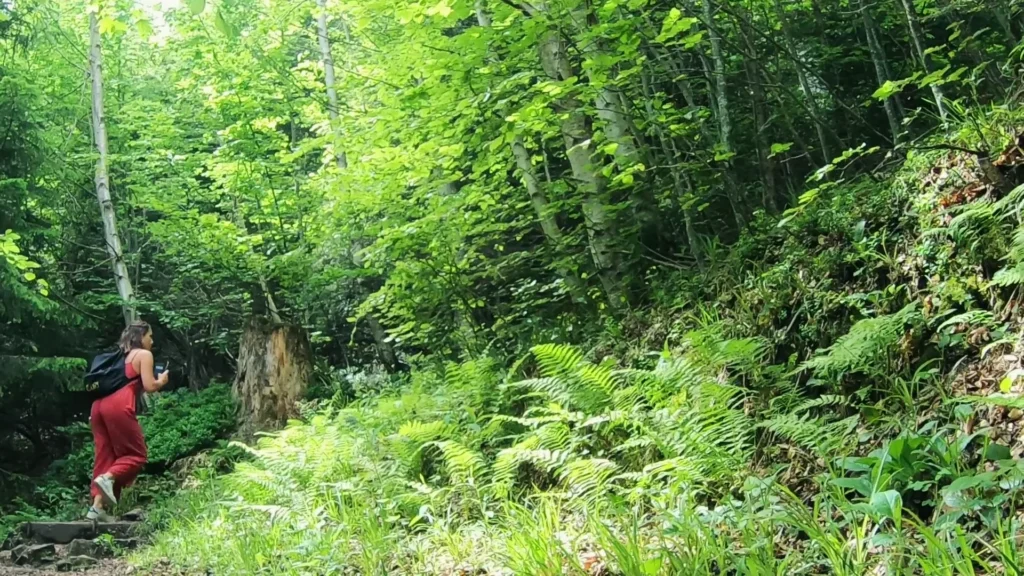 Caroline sul sentiero nel bosco sopra l’Urmiberg